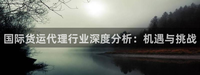 尊龙凯时麻将胡了：国际货运代理行业深度分析：机遇与挑战