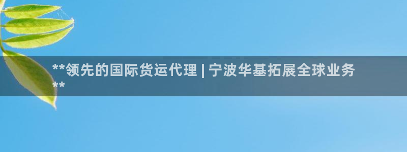 尊龙手机官方客户端下载安装：**领先的国际货运代理 | 