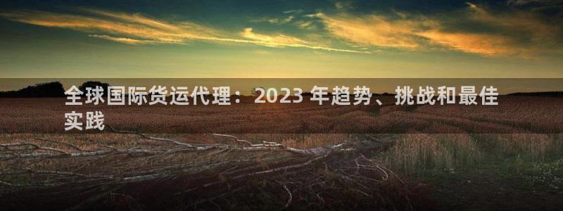 尊龙凯时v7要冲多少：全球国际货运代理：2023 年趋势