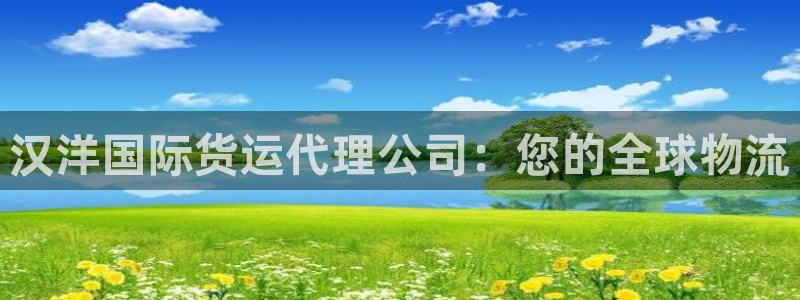 尊龙凯时官网登录入口：汉洋国际货运代理公司：您的全球物流