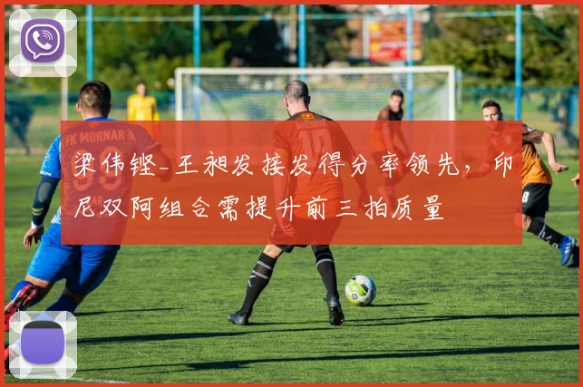 梁伟铿_王昶发接发得分率领先，印尼双阿组合需提升前三拍质量